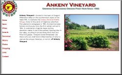 Ankeny Vineyards, Salem, Oregon